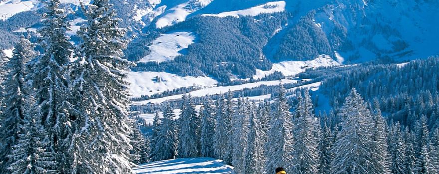 Domaine Skiable Megève