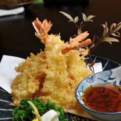 Torishige User Photo