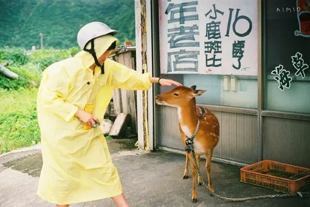 【台灣離島旅遊】6大外島推薦+景點交通介紹，懶人必看