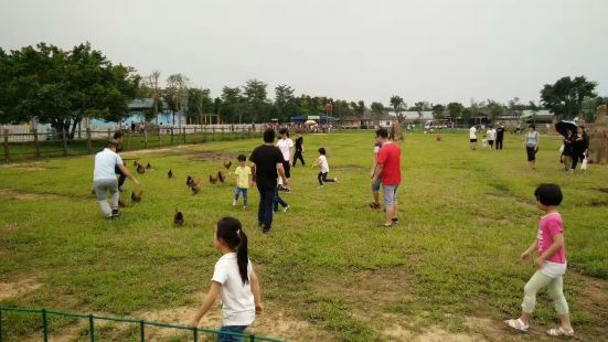 宝苞农场为城市中产创造了&ldquo;一亩空间&rdquo;