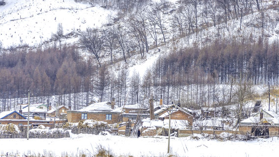 Snow Country in Jilin