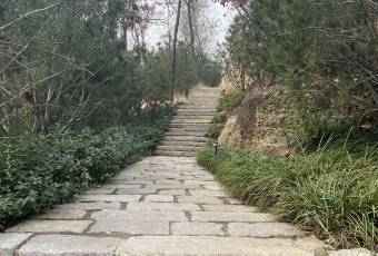九女峯書房用戶圖片