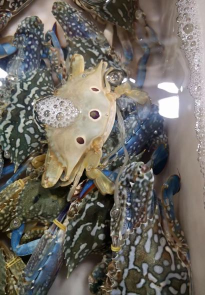 Super Crab Aroma Seafood Restaurant