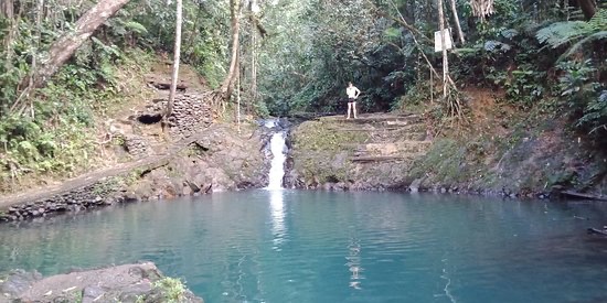 Colo-I-Suva Forest Park attraction reviews - Colo-I-Suva Forest Park  tickets - Colo-I-Suva Forest Park discounts - Colo-I-Suva Forest Park  transportation, address, opening hours - attractions, hotels, and food near  Colo-I-Suva Forest Park -
