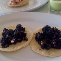 Taco Fish Champoton User Photo