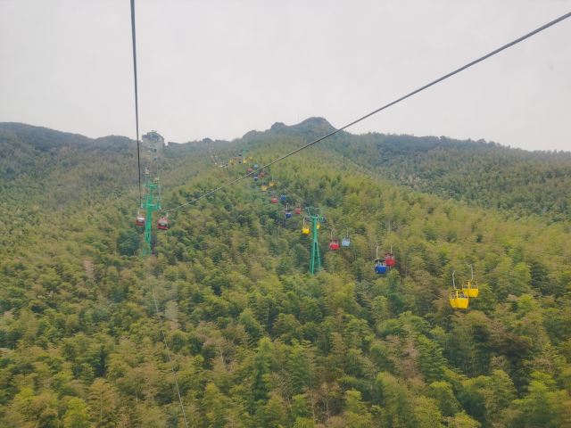 Nanshan Bamboo Sea