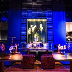 MOON BAR 여행 사진