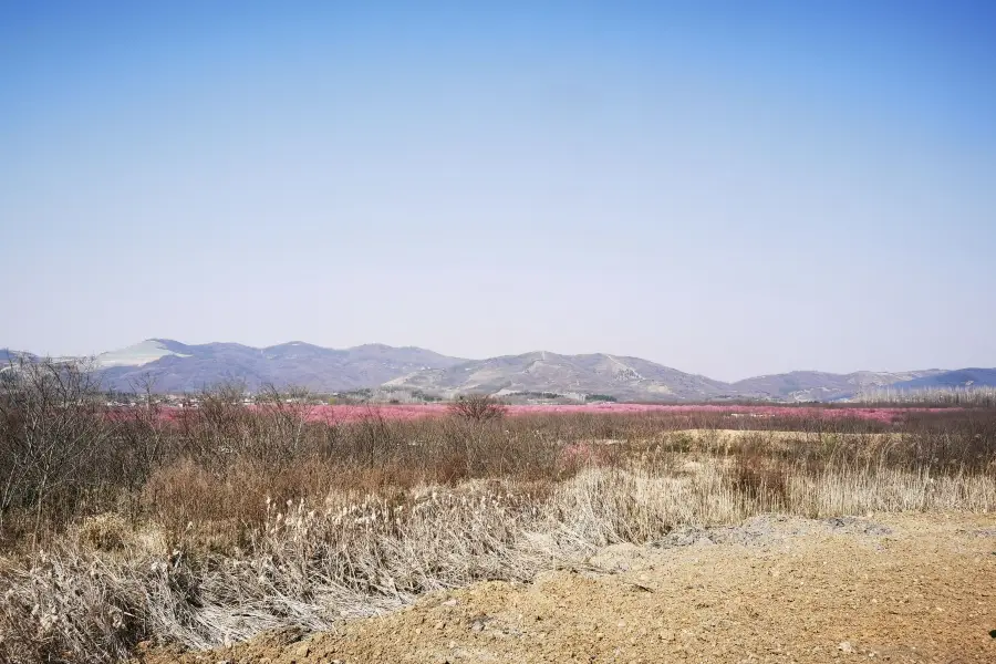 合肥浮槎山