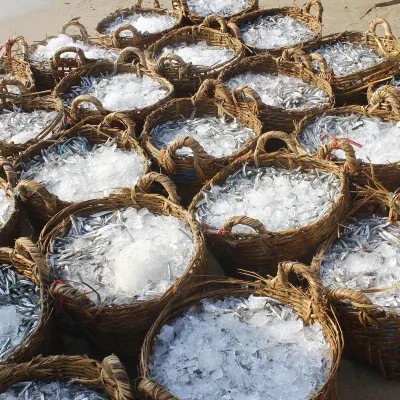 Апартаменты в г. Фантхиет