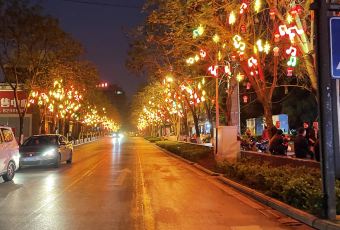 老街兔 User Photo