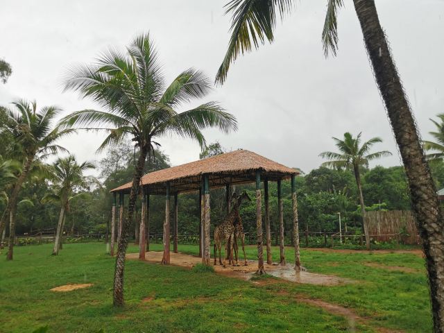 Hainan Tropical Wildlife Park