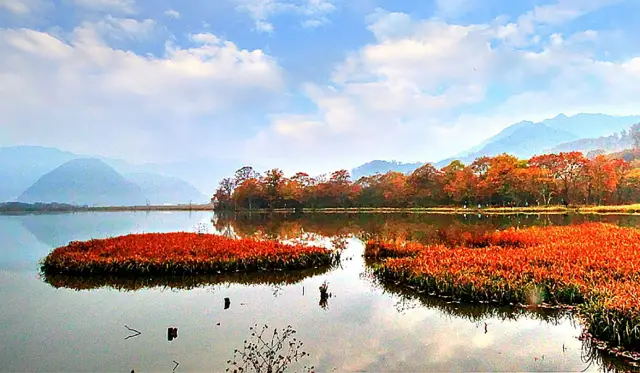 Fall Foliage Sightseeing in Shennongjia
