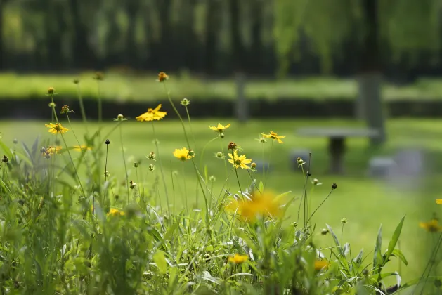 Отзывы об отеле JI Hotel (Taiyuan Yingze Dajie Wu Yi Guangchang)