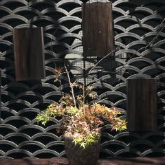 仟那酒店·凡且茶馆茶餐厅(新密店) User Photo