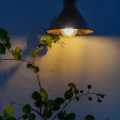 Soul kitchen User Photo