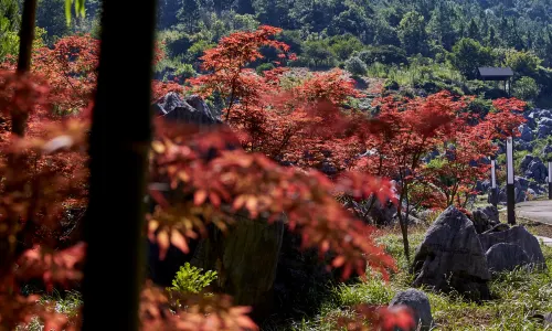 Yaolin National Forest Park