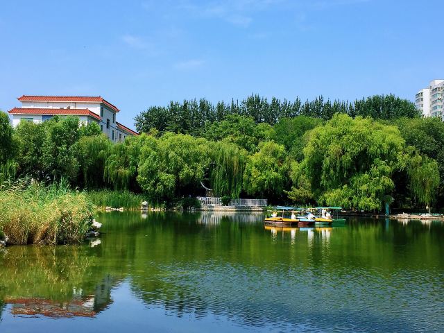 Dongyuan Park