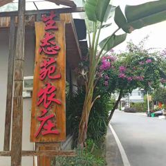 SHENGTAIYUAN NONGZHUANG User Photo