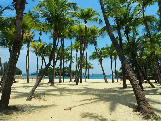 10 maravillas de Singapur que visitar