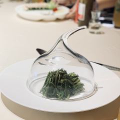 1877·黔 User Photo