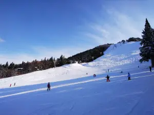 溫泉滑雪場