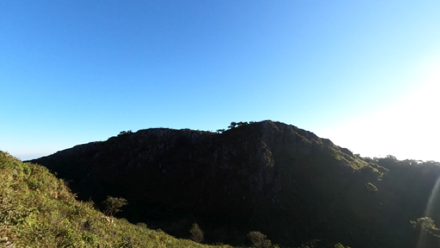 เขตรักษาพันธุ์สัตว์ป่าเชียงดาว