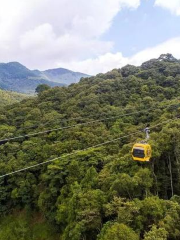 Meihua Mountain Buyun Cableway (Chinese Yew Garden Station)