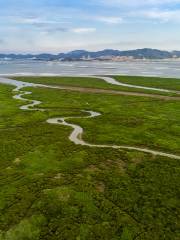 Mangrove Wetland Reserve