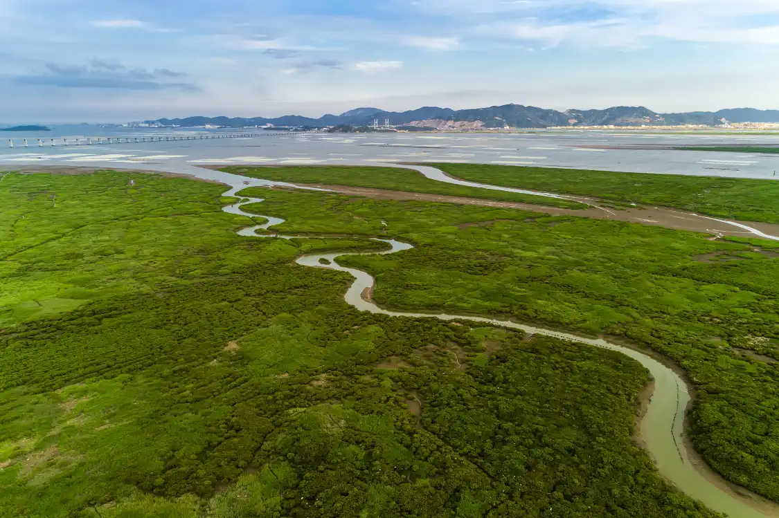 Hotels near Mangrove Wetland Reserve
