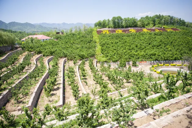 Для бизнес-поездок Отели в г. Уань