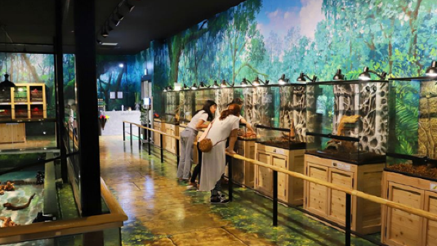 Van Gogh's Garden Jeju