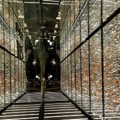 Niccolo Kitchen User Photo