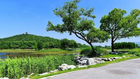 鼋头渚景区内从充山隐秀至樱花林的一条主干道，一侧芳草菁菁，山