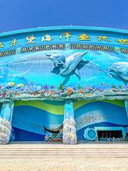 All Love Park Ocean World