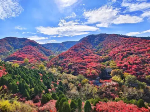 홍엽곡(홍예구)