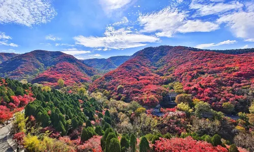 Red Leaf Valley