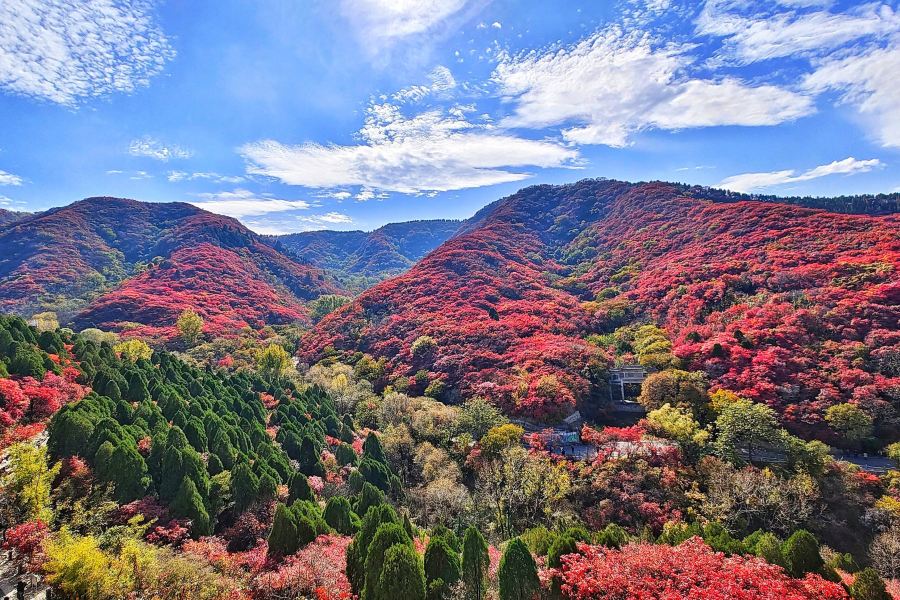 紅葉谷