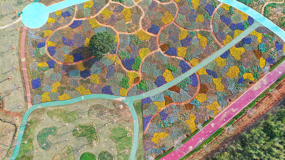 Jardin Admirable Tourist Resort