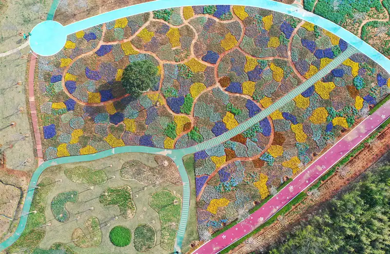 Hotels near Jardin Admirable Tourist Resort