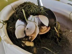 铁船餐厅