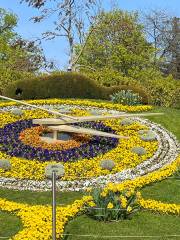 The Flower Clock