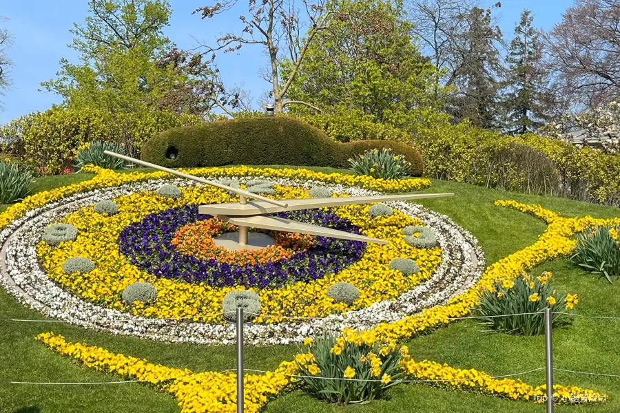 Reloj floral de Ginebra