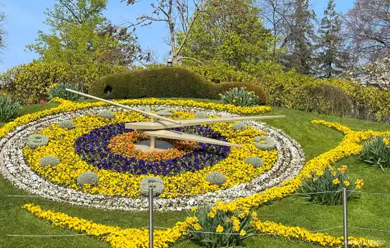 Hoteles cerca de Reloj floral de Ginebra