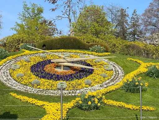 花鐘