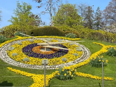 The Flower Clock
