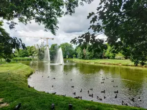 ミエイスキ im. ヤナ・イェジェゴ・プシェベンドフスキエゴ公園