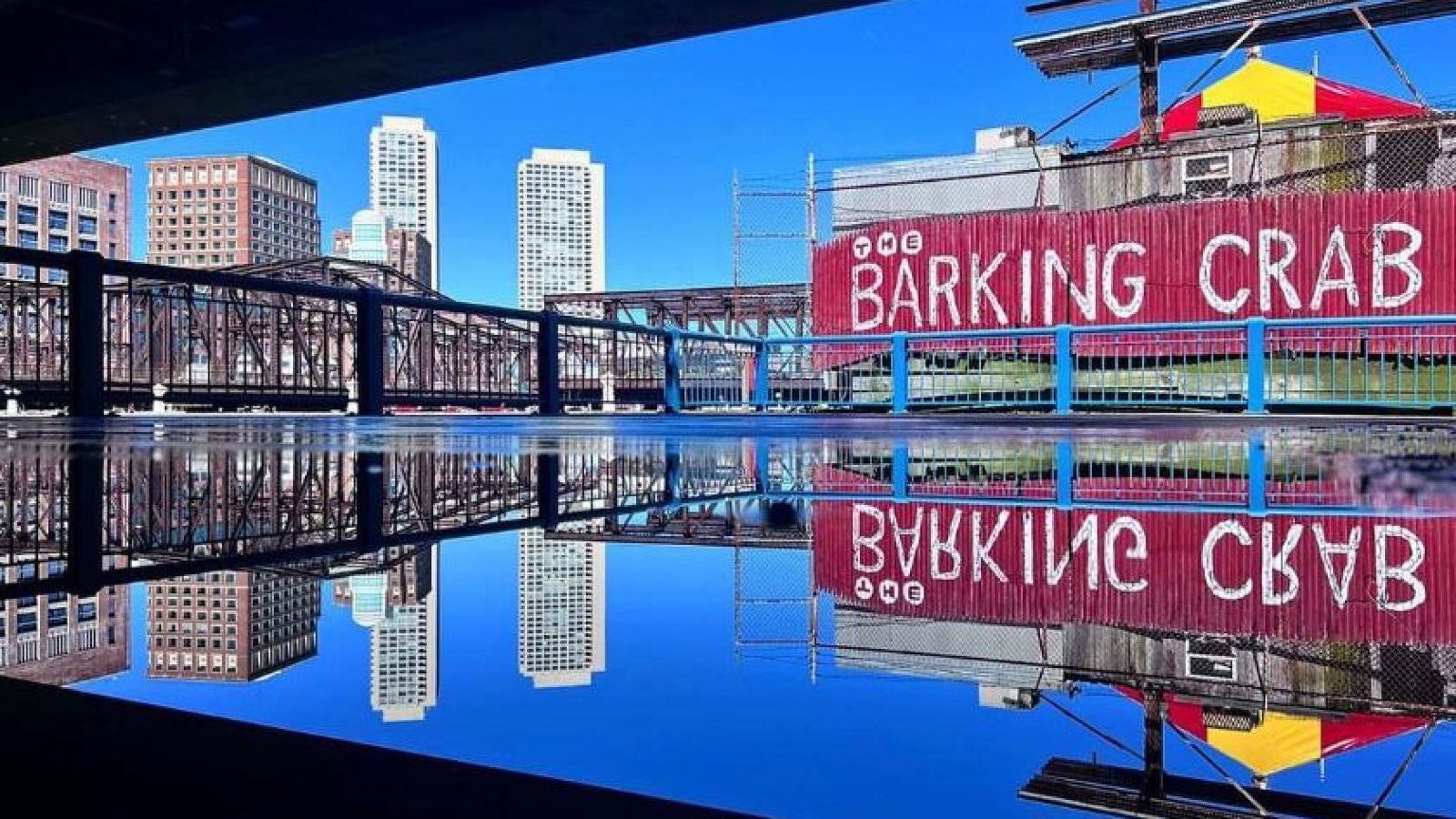 The Barking Crab