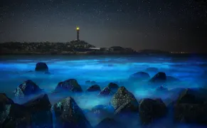Must-see Attractions