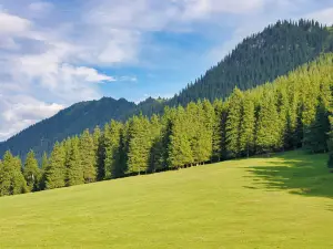 Gongnaisi Forest Farm
