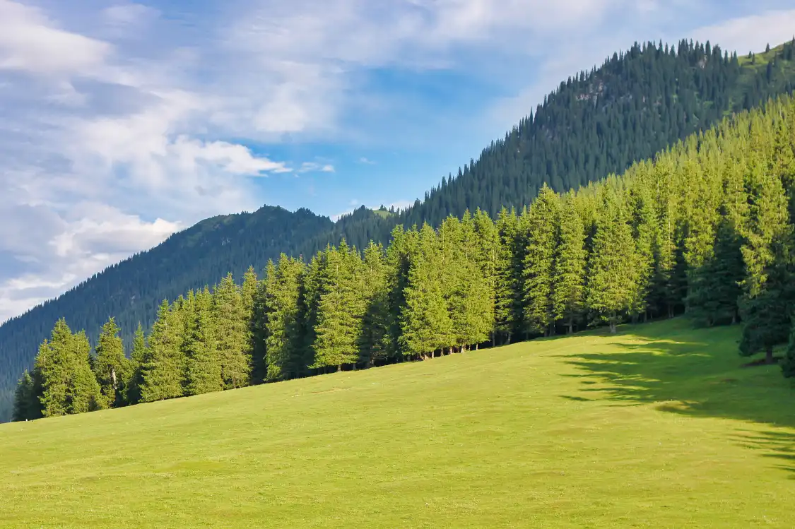Hotels near Gongnaisi Forest Farm